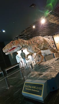 福井県立恐竜博物館に投稿された画像（2023/8/26）