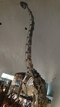 福井県立恐竜博物館に投稿された画像（2023/8/26）