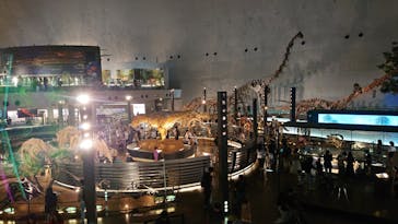 福井県立恐竜博物館に投稿された画像（2023/8/26）