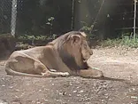 よこはま動物園ズーラシアに投稿された画像（2023/8/27）