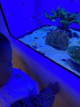 アクアワールド茨城県大洗水族館に投稿された画像（2023/8/26）