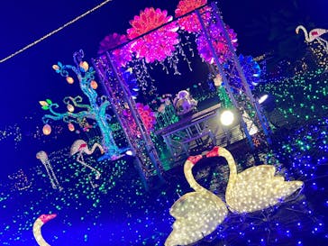 伊豆ぐらんぱる公園に投稿された画像（2023/8/26）