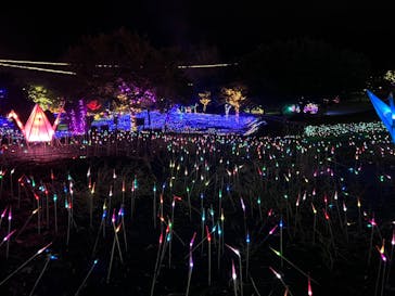 伊豆ぐらんぱる公園に投稿された画像（2023/8/26）