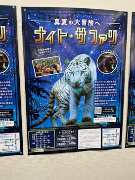 群馬サファリパークに投稿された画像（2023/8/26）