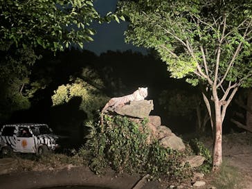 群馬サファリパークに投稿された画像（2023/8/26）