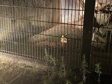 群馬サファリパークに投稿された画像（2023/8/26）