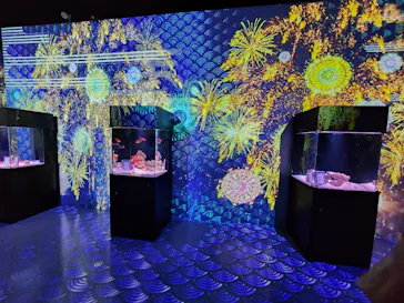 マクセル アクアパーク品川に投稿された画像（2023/8/26）