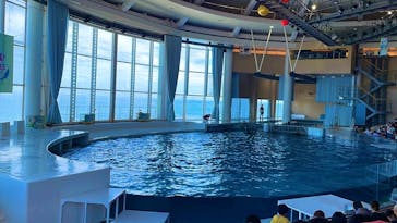 アクアワールド茨城県大洗水族館に投稿された画像（2023/8/26）