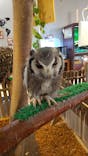 Moff animal cafe イオンモール幕張新都心店に投稿された画像（2023/8/27）