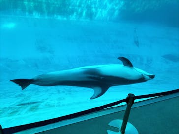 名古屋港水族館に投稿された画像（2023/8/26）