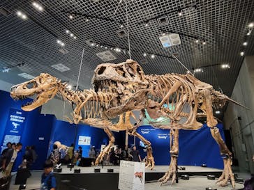 国立科学博物館に投稿された画像（2023/8/26）