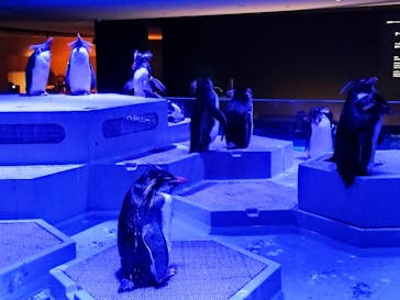 AOAO SAPPOROに投稿された画像（2023/8/27）