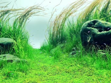 AOAO SAPPOROに投稿された画像（2023/8/27）