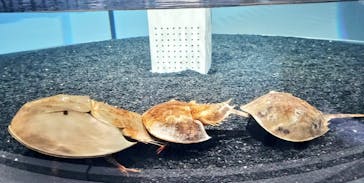 AOAO SAPPOROに投稿された画像（2023/8/27）