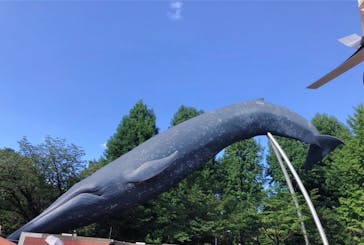 国立科学博物館に投稿された画像（2023/8/27）