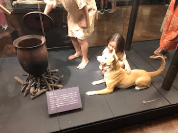 国立科学博物館に投稿された画像（2023/8/27）