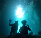 武藤潜水に投稿された画像（2023/8/27）