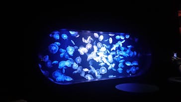 AOAO SAPPOROに投稿された画像（2023/8/27）