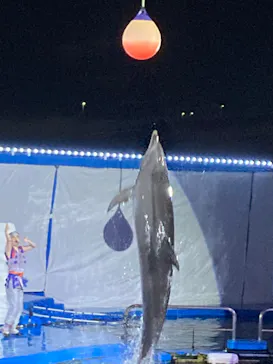 仙台うみの杜水族館に投稿された画像（2023/8/27）