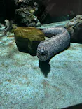 名古屋港水族館に投稿された画像（2023/8/27）