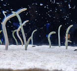 すみだ水族館に投稿された画像（2023/8/27）