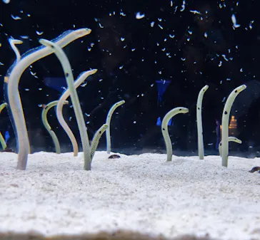 すみだ水族館に投稿された画像（2023/8/27）