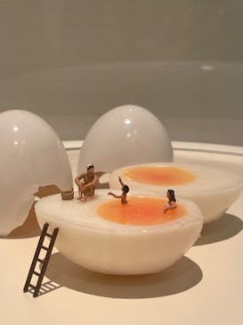 沖縄県立博物館・美術館〔おきみゅー〕に投稿された画像（2023/8/27）