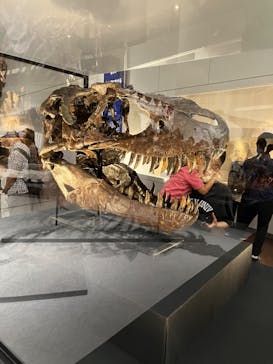 大阪市立自然史博物館に投稿された画像（2023/8/27）