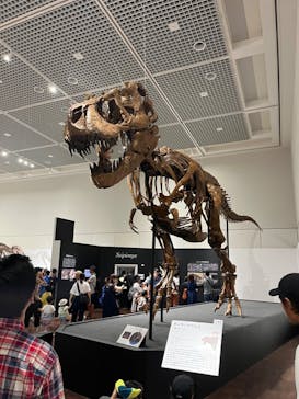 大阪市立自然史博物館に投稿された画像（2023/8/27）