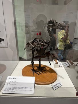 大阪市立自然史博物館に投稿された画像（2023/8/27）