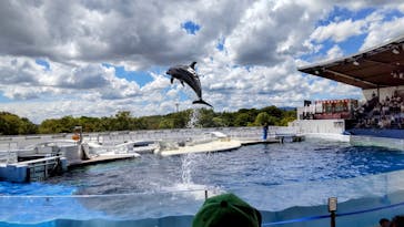 京都水族館に投稿された画像（2023/8/27）