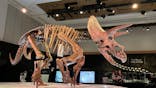 DinoScience 恐竜科学博 2023@TOKYO MIDTOWNに投稿された画像（2023/8/27）