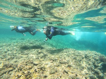 沖縄マリンサービス碧に投稿された画像（2023/8/27）