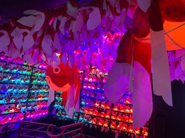 NARA IKIMONO MUSEUMに投稿された画像（2023/8/27）