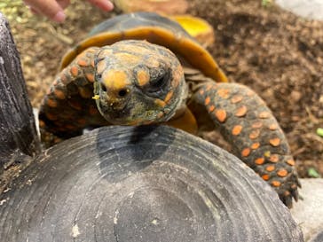 NARA IKIMONO MUSEUMに投稿された画像（2023/8/27）