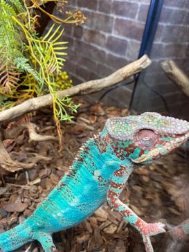 NARA IKIMONO MUSEUMに投稿された画像（2023/8/27）