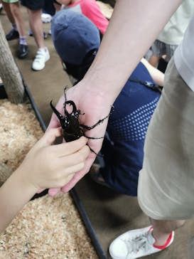 JOYPOLIS 特別イベントスペースに投稿された画像（2023/8/27）