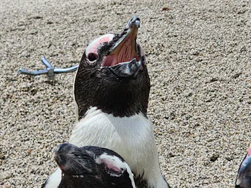 仙台うみの杜水族館に投稿された画像（2023/8/27）