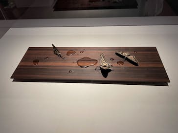 あべのハルカス美術館に投稿された画像（2023/8/27）