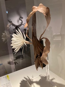 あべのハルカス美術館に投稿された画像（2023/8/27）