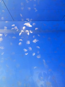 アクアワールド茨城県大洗水族館に投稿された画像（2023/8/27）