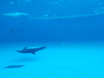 アクアワールド茨城県大洗水族館に投稿された画像（2023/8/27）
