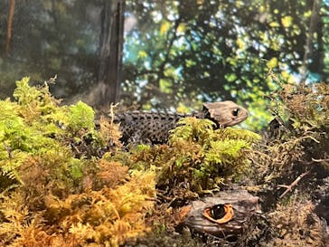 ぶっとんでるいきもの展に投稿された画像（2023/8/27）