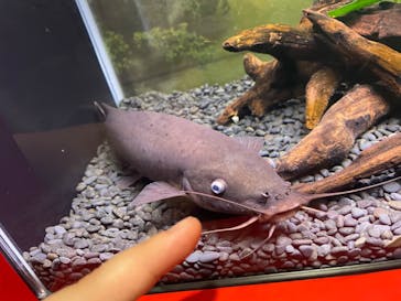 ぶっとんでるいきもの展に投稿された画像（2023/8/27）