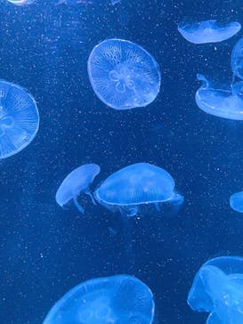 AOAO SAPPOROに投稿された画像（2023/8/27）