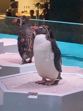 AOAO SAPPOROに投稿された画像（2023/8/27）