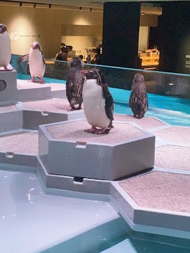 AOAO SAPPOROに投稿された画像（2023/8/27）