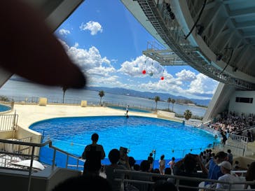 マリンワールド海の中道に投稿された画像（2023/8/27）