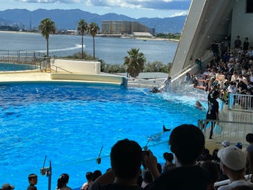 マリンワールド海の中道に投稿された画像（2023/8/27）