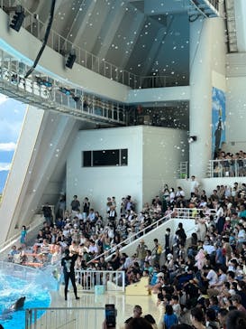 マリンワールド海の中道に投稿された画像（2023/8/27）